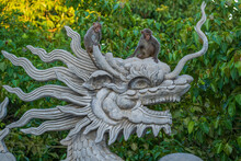 Portrait Of A Monkey Sitting On A Stone Sculpture Of A Dragon At Buddhist Temple In Danang, Vietnam. Close Up