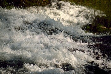 water flowing in the forest