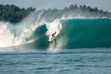 Fototapeta Sawanna - Surfer on perfect blue big tube wave, empty line up, perfect for surfing, clean water, Indian Ocean in Mentawai islands
