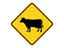 Isolated Cattle Cross Walk Warning Sign On Light Yellow Diamond Board  Flat Vector Design