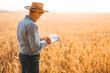 © Miha Creative - Agronomist writing on a document the wheat development plan.  Banner with  copy space.