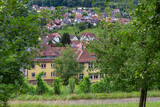 Fototapeta Natura - Wunderfitzpfad Diersburg Hohberg Black Forest Schwarzwald