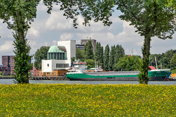 Rotterdam, The Netherlands, July 15, 2020: two trees in a field of grass and dandelions with the Nieuw Maas river, park Quay and the Maastunnel building in the background