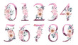 © IrinaLitvinova - Floral watercolor set of numbers with floral bouquets on a white background with roses and peonies.