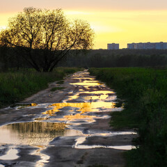 Wall Mural - image of a country road in bad weather