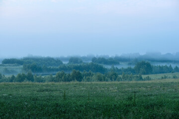 Wall Mural - landscape with a summer field at sunset