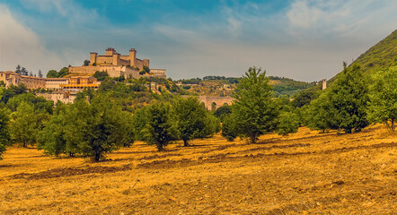 A panorama view across an olive grove towards the Tower Bridge and the hill top fortress in Spoleto, Italy in summer