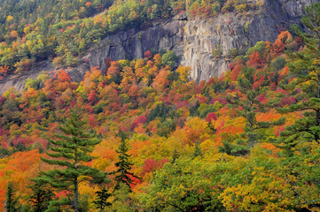 Autumn in White Mountains of New Hampshire. Breathtaking view of colorful trees clinging to steep cliff along scenic Kancamagus Highway.