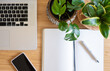 © Ida - Work from home desk set up with laptop, notebook, and potted house plants.