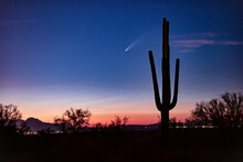 Comet Neowise In The Night Sky Above Phoenix, Arizona
