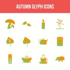 Wall Mural - Unique autumn vector glyph icon set