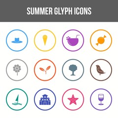 Wall Mural - Unique summer vector glyph icon set