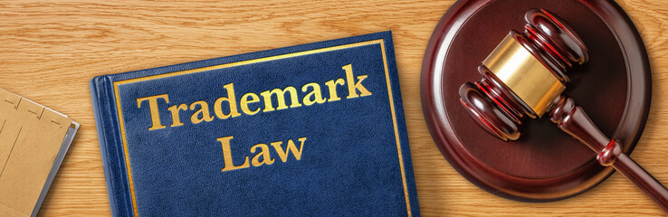 a gavel with a law book - trademark law