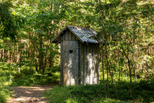 Old Wooden Toilet In The Woods. Outhouse In The Wood.