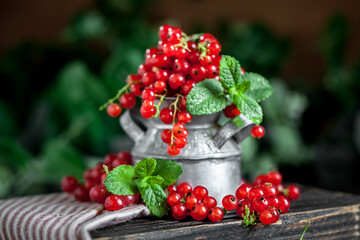 Wall Mural - Fresh red currants in a Cup on a dark rustic wooden table. Background with space for copying. Selective focus.