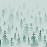 Fototapeta Las - Foggy coniferous forest. Grey and green firs in the haze.