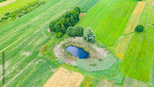 Fotografía Aerial view of natural pond surrounded by pine trees. Europe
