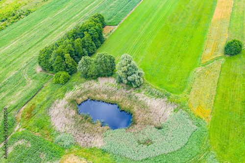 Fotografía Aerial view of natural pond surrounded by pine trees. Europe