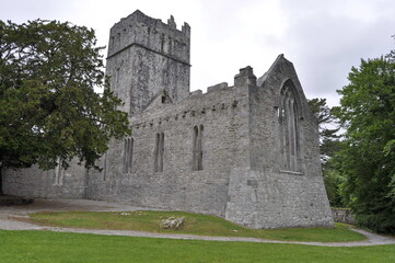 Wall Mural - Muckross abbey, Ireland