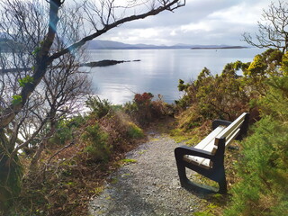 Wall Mural - Bench in the park