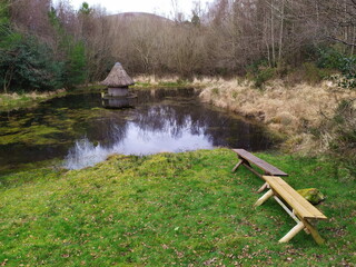 Wall Mural - Old wooden house in the pond