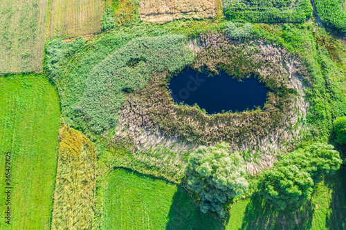 Cuadros en Lienzo Aerial view of natural pond surrounded by pine trees. Europe