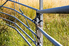 Locked Metal Framed Farm Gate To Wheat Crop Field On The Outskirts Of West Tytherley Village In Rural Hampshire