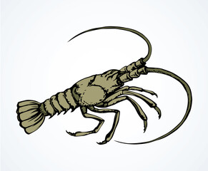 Poster - Lobster. Vector drawing