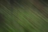 Fototapeta Łazienka - Abstract blurred texture leaf background.