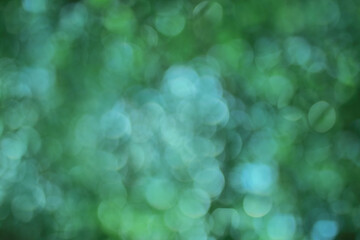 green bokeh blur whit leaves