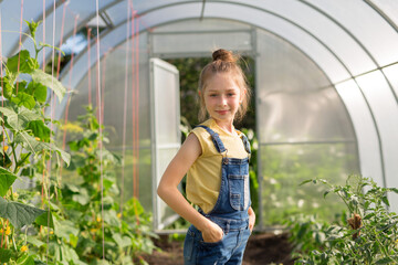 Wall Mural - beautiful teenage girl on the background of a vegetable garden in a greenhouse