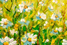 Original Oil Painting Daisy Flowers Field Wide Background In The Sunlight. Summer Daisies. Beautiful Nature Scene With Blooming Daisies. Chamomile Spring Floral Background Beautiful Meadow
