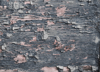 Wall Mural - Old wooden in vintage style. Surface design.Rustic closeup on white background. Wood texture abstract color backdrop.