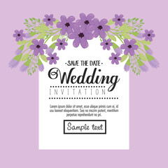 Wall Mural - Wedding invitation with purple flowers and leaves design, Save the date and engagement theme Vector illustration