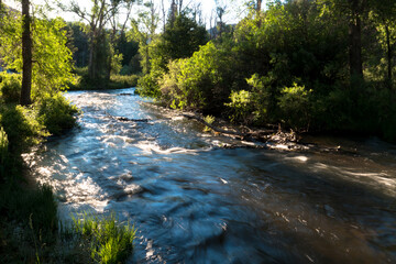 Wall Mural - Dawn light in summer on the Cimarron River in Cimarron Canyon State Park in New Mexico's Sangre de Cristo Mountains