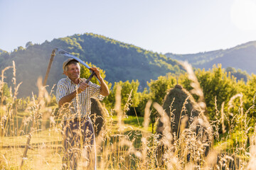 Senior farmer using scythe to mow the lawn traditionally with rural landscape in summer light