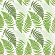 Seamless pattern with fern leaves. Exotic green plants