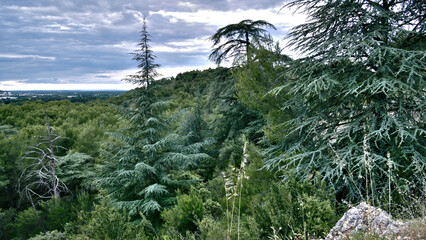 Parc naturel regional du Luberon