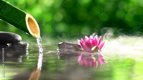 Fotografie, Obraz Bamboo fountain,water lily and spa stones