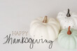 Happy Thanksgiving copy with modern mini pumpkin decorations for autumn holiday.