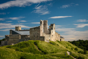 Wall Mural - View to the ruined medieval castle in Rakvere, Estonia