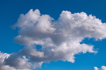 Atmospheric sky art image with fluffy white Cumulus cloud in bright blue sky. Australia.