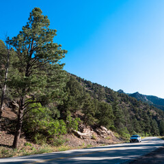 Wall Mural - A car passes a pinyon-juniper forest at dawn in Cimarron Canyon State Park in the Sangre de Cristo Range of the Rocky Mountains