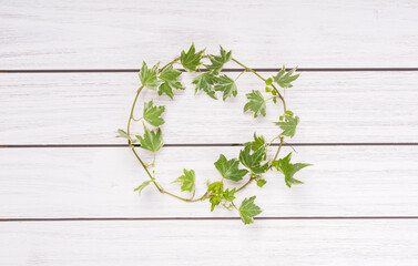 Wall Mural - Round decorative frame of ivy branches on white wooden background