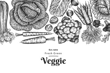 Wall Mural - Hand drawn sketch vegetables design. Organic fresh food vector banner template. Retro vegetable background. Engraved style botanical illustrations.