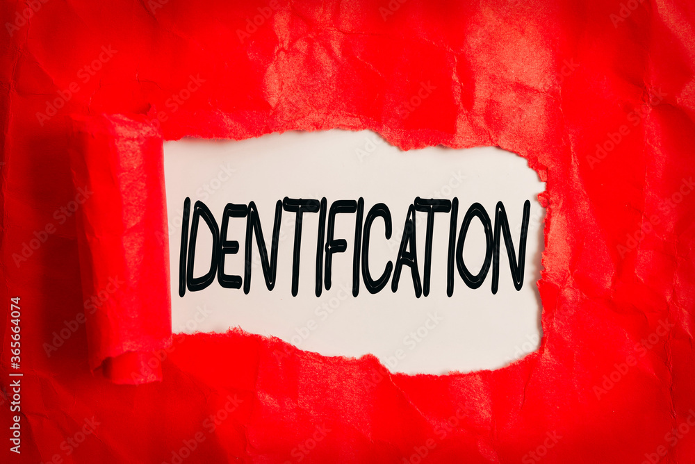 ROLLED SOMEONE MEANING visual data 3