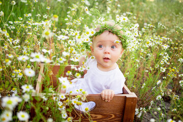 portrait of a baby girl 7 months old sitting on a chamomile field in a wreath in a white dress, a healthy walk in the fresh air