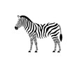 Zebra logo. Isolated zebra on white background