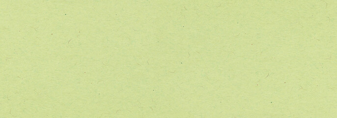 Wall Mural - green paper texture background