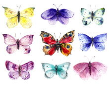 Colorful Butterflies And Moths Set